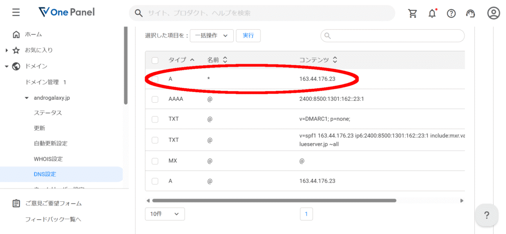 One Panel DNS設定でAレコードを追加
